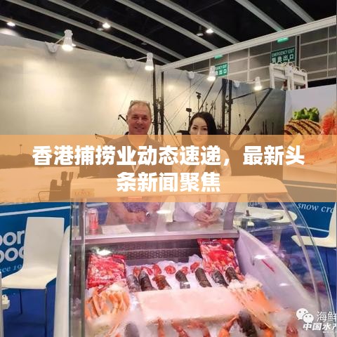 香港捕撈業(yè)動態(tài)速遞，最新頭條新聞聚焦