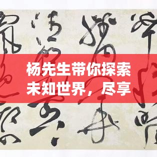 楊先生帶你探索未知世界，盡享旅行樂趣攻略