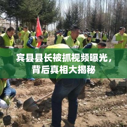 賓縣縣長被抓視頻曝光，背后真相大揭秘