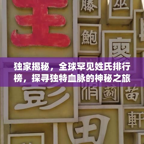 獨(dú)家揭秘，全球罕見姓氏排行榜，探尋獨(dú)特血脈的神秘之旅