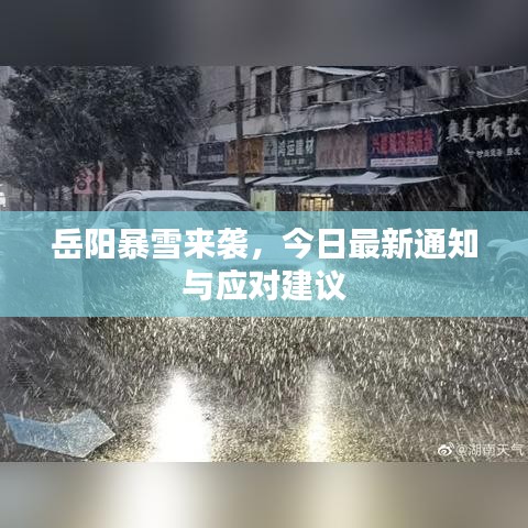 岳陽暴雪來襲，今日最新通知與應(yīng)對(duì)建議