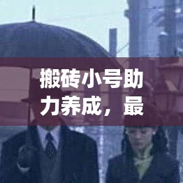 搬磚小號助力養(yǎng)成，最新攻略助你打造強(qiáng)力助手！