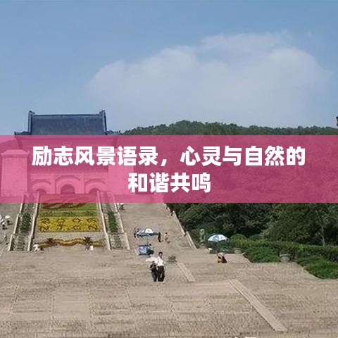 展翅高飛 第3頁