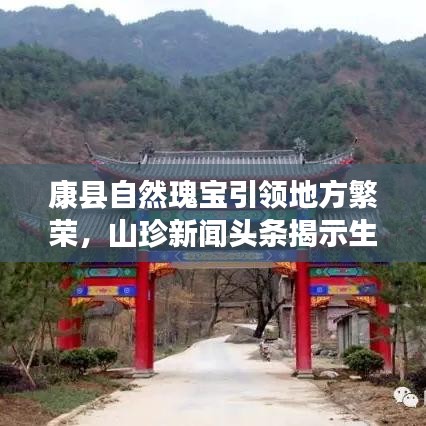 還樸反古 第4頁(yè)