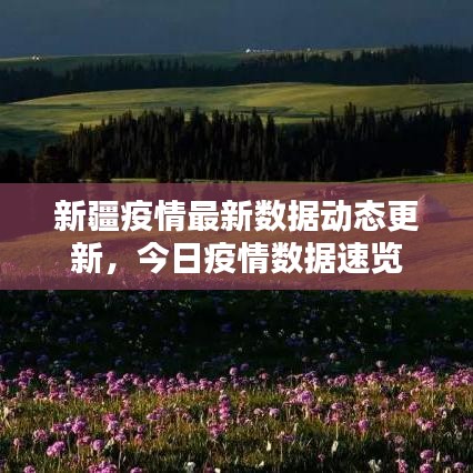 新疆疫情最新數(shù)據(jù)動(dòng)態(tài)更新，今日疫情數(shù)據(jù)速覽