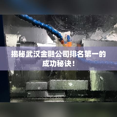 揭秘武漢金融公司排名第一的成功秘訣！
