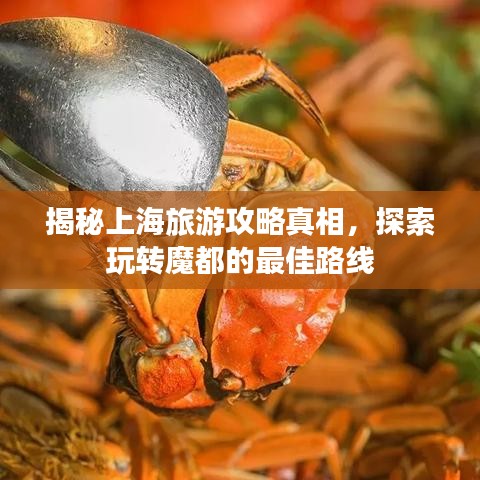 揭秘上海旅游攻略真相，探索玩轉魔都的最佳路線