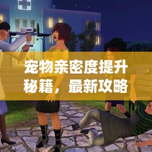 寵物親密度提升秘籍，最新攻略分享