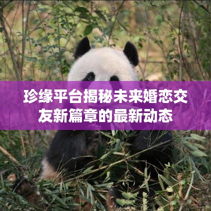 日就月將 第3頁