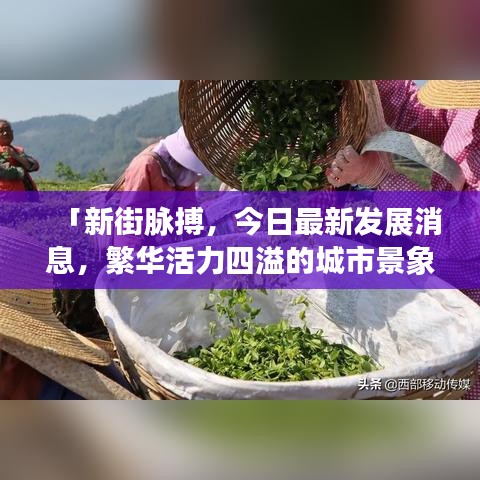 「新街脈搏，今日最新發(fā)展消息，繁華活力四溢的城市景象速覽」