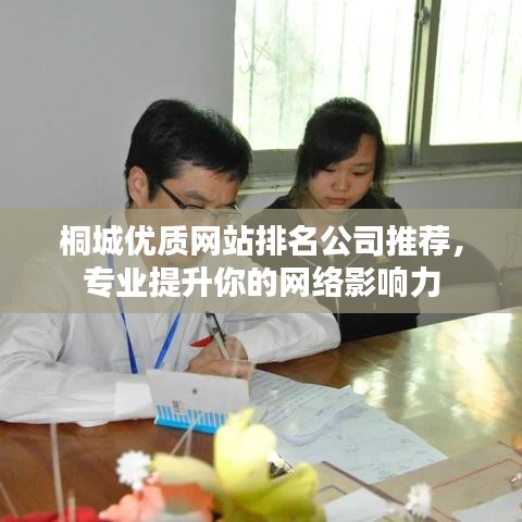 桐城優(yōu)質(zhì)網(wǎng)站排名公司推薦，專業(yè)提升你的網(wǎng)絡(luò)影響力