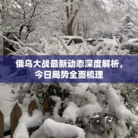 俄烏大戰(zhàn)最新動態(tài)深度解析，今日局勢全面梳理