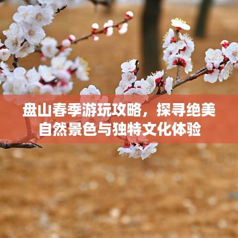 盤山春季游玩攻略，探尋絕美自然景色與獨(dú)特文化體驗