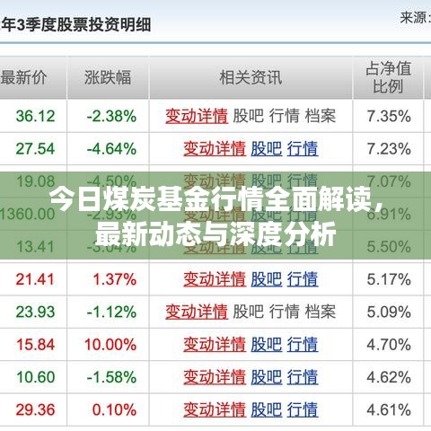 今日煤炭基金行情全面解讀，最新動態(tài)與深度分析