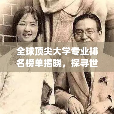 全球頂尖大學(xué)專業(yè)排名榜單揭曉，探尋世界學(xué)術(shù)殿堂之門