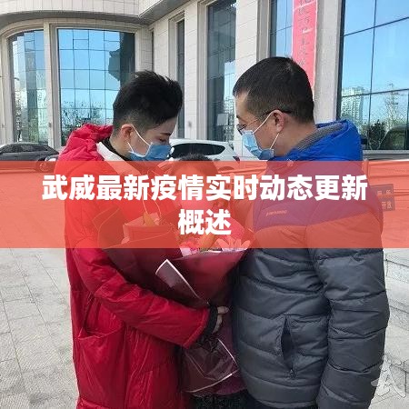 武威最新疫情實時動態(tài)更新概述