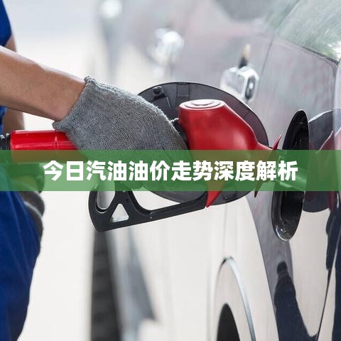 今日汽油油價走勢深度解析