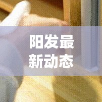 陽發(fā)最新動(dòng)態(tài)揭秘，今日發(fā)展消息及行業(yè)影響分析