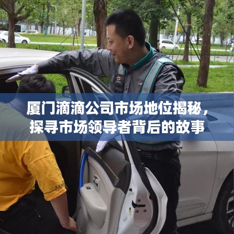 廈門(mén)滴滴公司市場(chǎng)地位揭秘，探尋市場(chǎng)領(lǐng)導(dǎo)者背后的故事