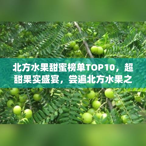 吉光片羽 第3頁