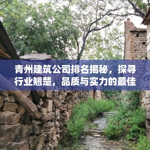 青州建筑公司排名揭秘，探尋行業(yè)翹楚，品質(zhì)與實(shí)力的最佳展現(xiàn)