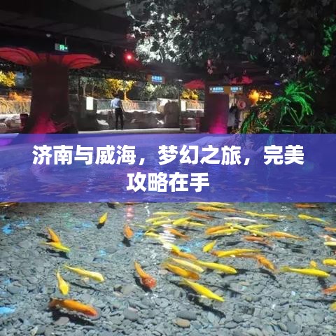 濟(jì)南與威海，夢幻之旅，完美攻略在手