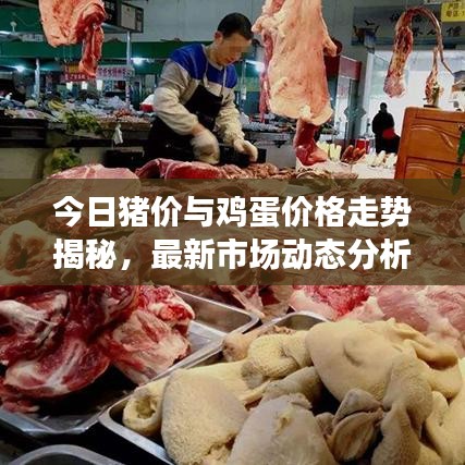 今日豬價與雞蛋價格走勢揭秘，最新市場動態(tài)分析與預(yù)測