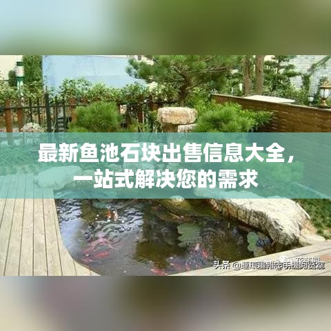 最新魚池石塊出售信息大全，一站式解決您的需求