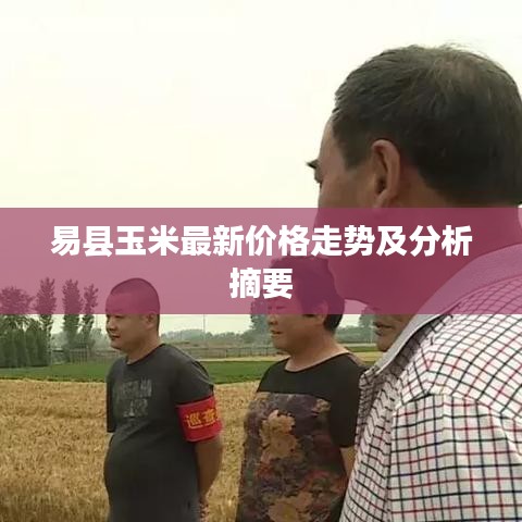易縣玉米最新價格走勢及分析摘要