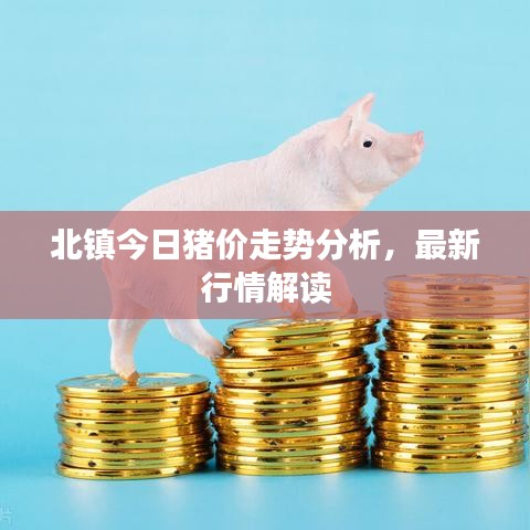 北鎮(zhèn)今日豬價走勢分析，最新行情解讀
