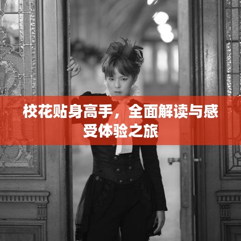 ?；ㄙN身高手，全面解讀與感受體驗之旅