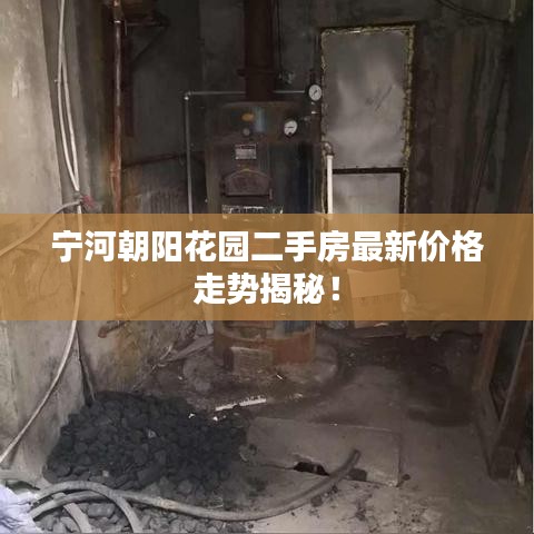 寧河朝陽花園二手房最新價(jià)格走勢(shì)揭秘！