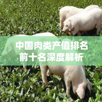 中國肉類產(chǎn)值排名前十名深度解析