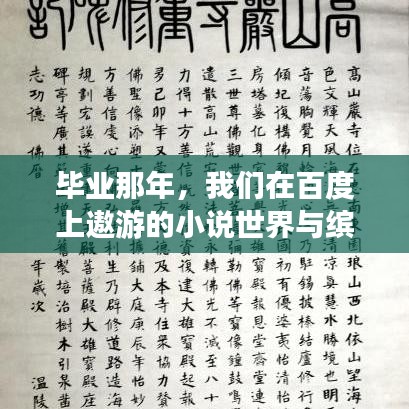 畢業(yè)那年，我們在百度上遨游的小說世界與繽紛色彩之旅