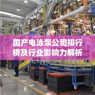 國產電泳泵公司排行榜及行業(yè)影響力解析