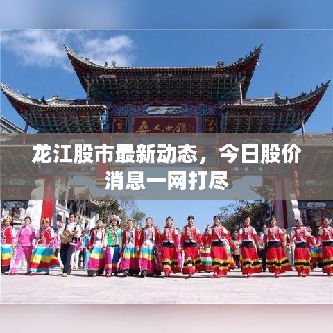 龍江股市最新動態(tài)，今日股價消息一網(wǎng)打盡