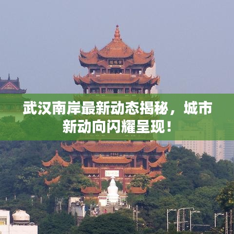 武漢南岸最新動(dòng)態(tài)揭秘，城市新動(dòng)向閃耀呈現(xiàn)！