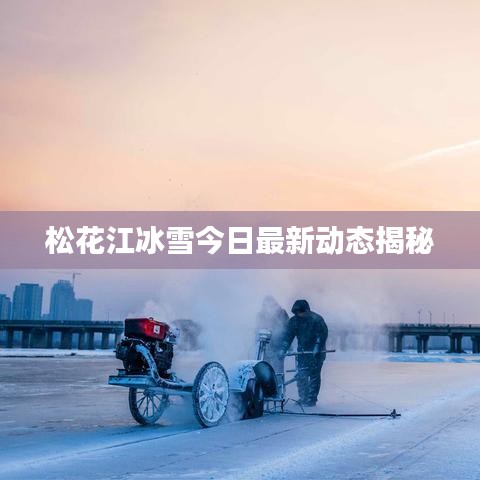 松花江冰雪今日最新動態(tài)揭秘