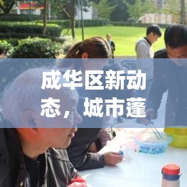 成華區(qū)新動態(tài)，城市蓬勃發(fā)展，社區(qū)生活多彩多姿