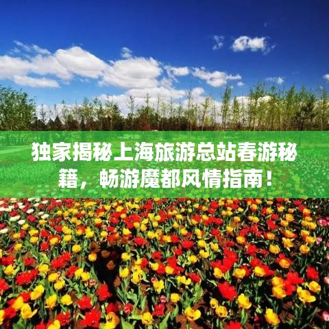 獨(dú)家揭秘上海旅游總站春游秘籍，暢游魔都風(fēng)情指南！