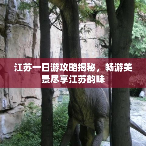 江蘇一日游攻略揭秘，暢游美景盡享江蘇韻味