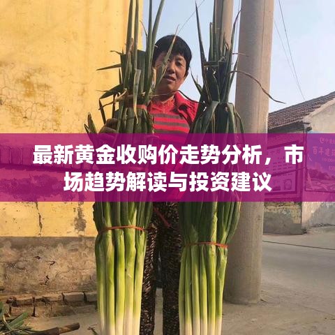 最新黃金收購價(jià)走勢分析，市場趨勢解讀與投資建議
