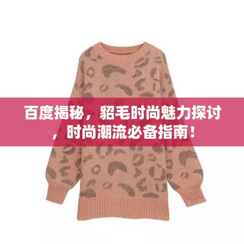 百度揭秘，貂毛時尚魅力探討，時尚潮流必備指南！