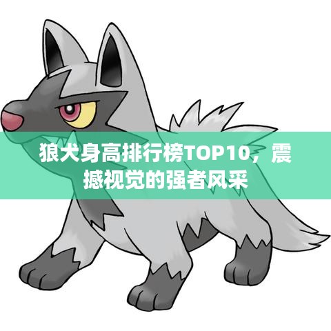 貴耳賤目 第3頁