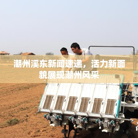 潮州溪東新聞速遞，活力新面貌展現(xiàn)潮州風(fēng)采