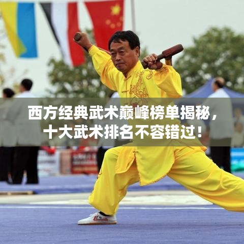 西方經(jīng)典武術(shù)巔峰榜單揭秘，十大武術(shù)排名不容錯過！