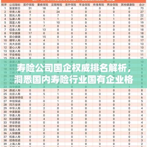 壽險(xiǎn)公司國(guó)企權(quán)威排名解析，洞悉國(guó)內(nèi)壽險(xiǎn)行業(yè)國(guó)有企業(yè)格局