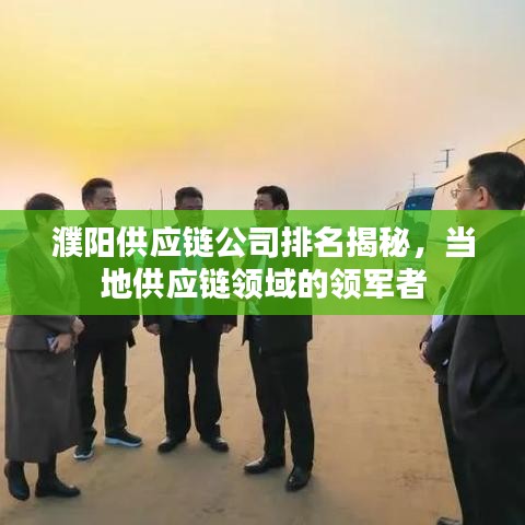 濮陽供應(yīng)鏈公司排名揭秘，當(dāng)?shù)毓?yīng)鏈領(lǐng)域的領(lǐng)軍者