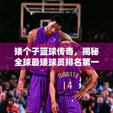矮個(gè)子籃球傳奇，揭秘全球最矮球員排名第一的崛起之路！