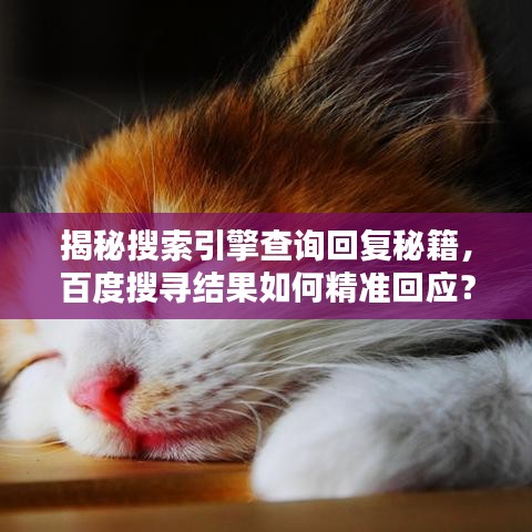 揭秘搜索引擎查詢回復(fù)秘籍，百度搜尋結(jié)果如何精準回應(yīng)？